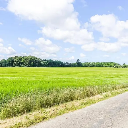 3 Bedroom Pet Friendly In Neksø